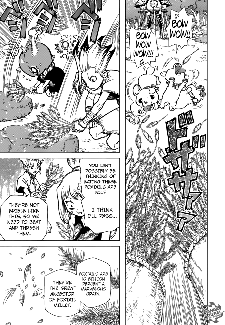 Dr. Stone Chapter 22 12